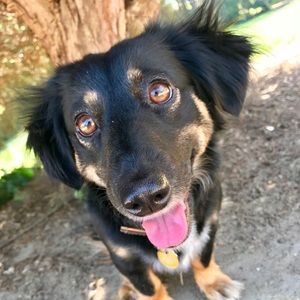 Meet your Posher, Laura